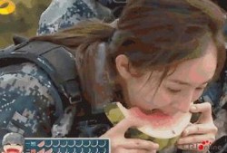 吃瓜群众秒懂视频,轻松解读热门视频背后的故事