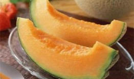 马帮吃哈密瓜的视频图片,穿越丝绸之路的甜蜜之旅