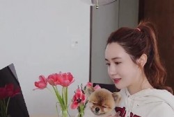 吃瓜被误会的视频大全,视频大全回顾