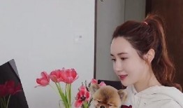 吃瓜被误会的视频大全,视频大全回顾