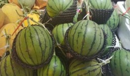 一种瓜怎么吃才好吃视频,解锁美味瓜果的多样吃法