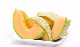 马帮吃哈密瓜的视频图片,穿越丝绸之路的甜蜜之旅