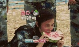 吃瓜群众秒懂视频,轻松解读热门视频背后的故事