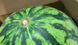 吃瓜质疑真假视频,揭秘吃瓜群众质疑真假视频的真相追踪