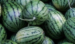 吃瓜视频都从哪里看到的,吃瓜视频的来源大揭秘