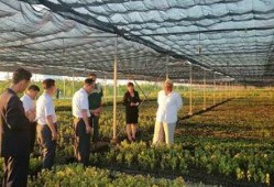 考察苗圃吃瓜视频,揭秘娱乐圈幕后趣闻