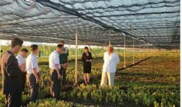 考察苗圃吃瓜视频,揭秘娱乐圈幕后趣闻