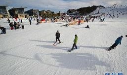 澳洲滑雪圈吃瓜视频大全,澳洲滑雪圈热门吃瓜视频大盘点