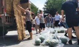 陕西延安吃瓜事件视频,一场网络热议的街头冲突揭秘