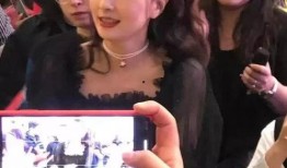 集体吃瓜陶虹视频全集播放,娱乐圈幕后故事大揭秘